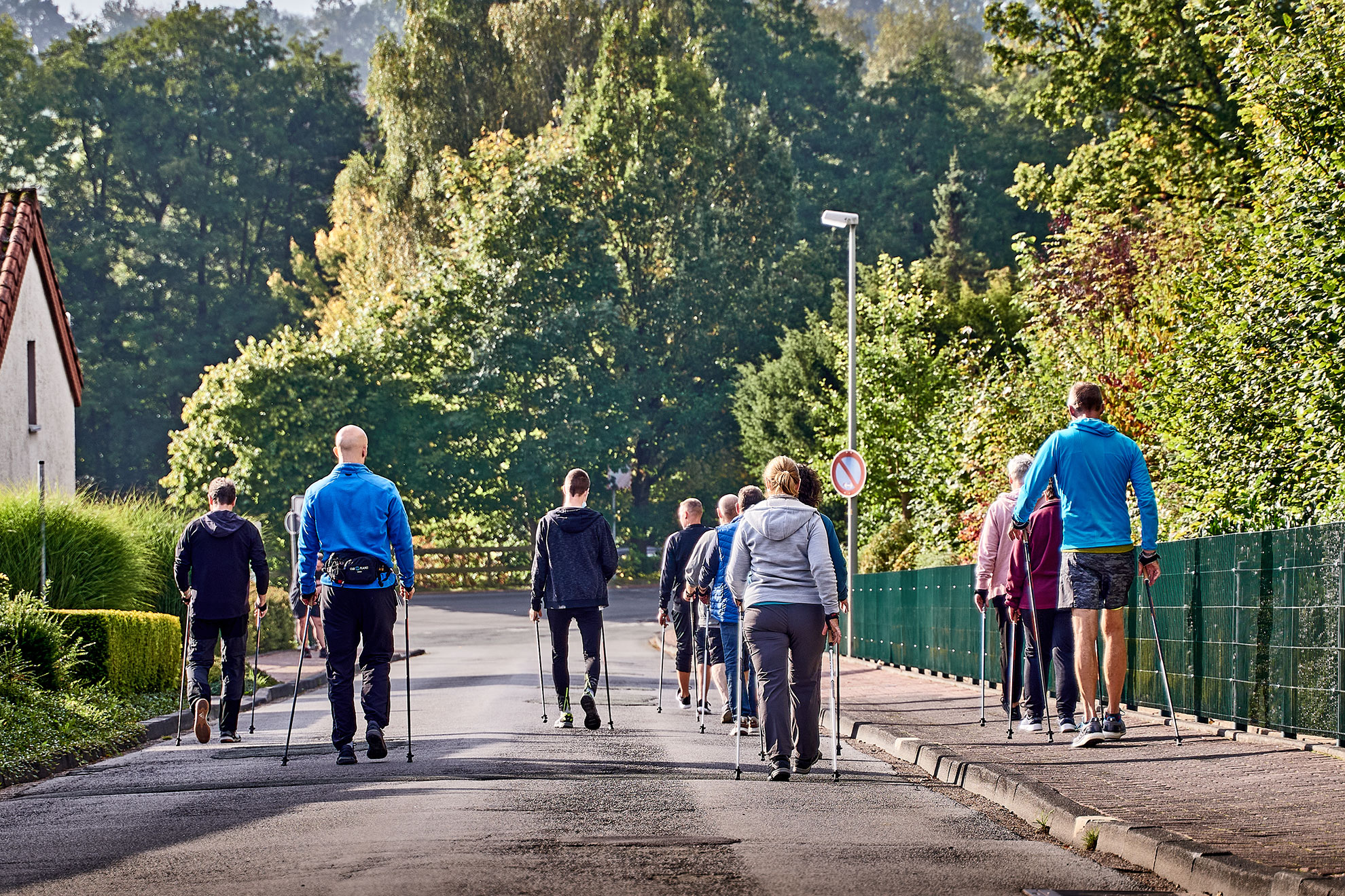 Gruppe beim Nordic Walking entlang einer Straße am Waldrand – gemeinsames Training an der frischen Luft fördert Gesundheit und Ausdauer.