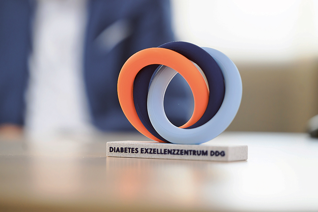 Moderne Skulptur mit ineinandergreifenden Ringen in Orange, Blau und Hellblau, Schriftzug „DIABETES EXZELLENZZENTRUM DDG“ am Sockel.
