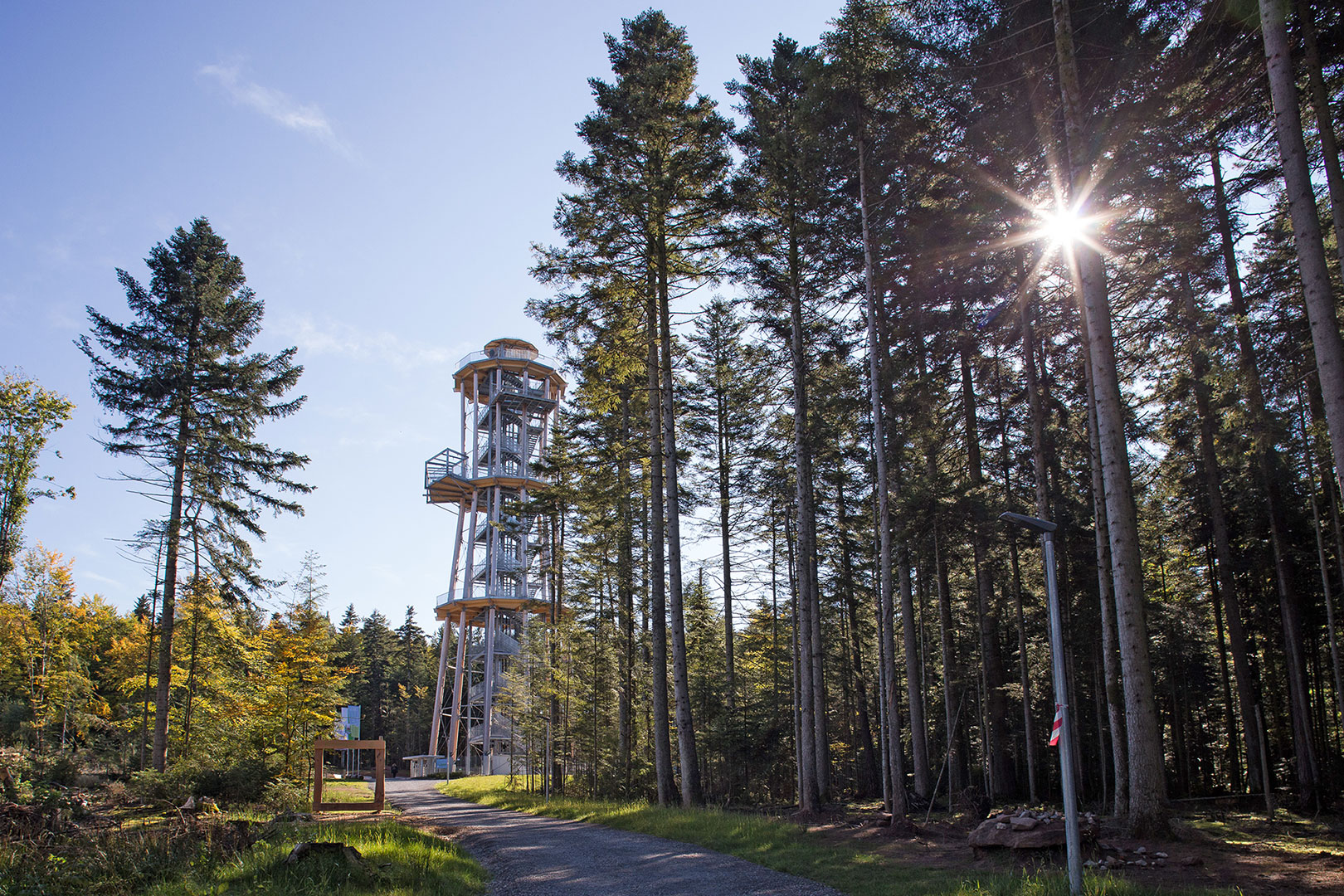 Ein hoher Aussichtsturm aus Metall steht inmitten eines Waldes, daneben ein Weg, umgeben von hohen Nadelbäumen und Sonnenlicht.